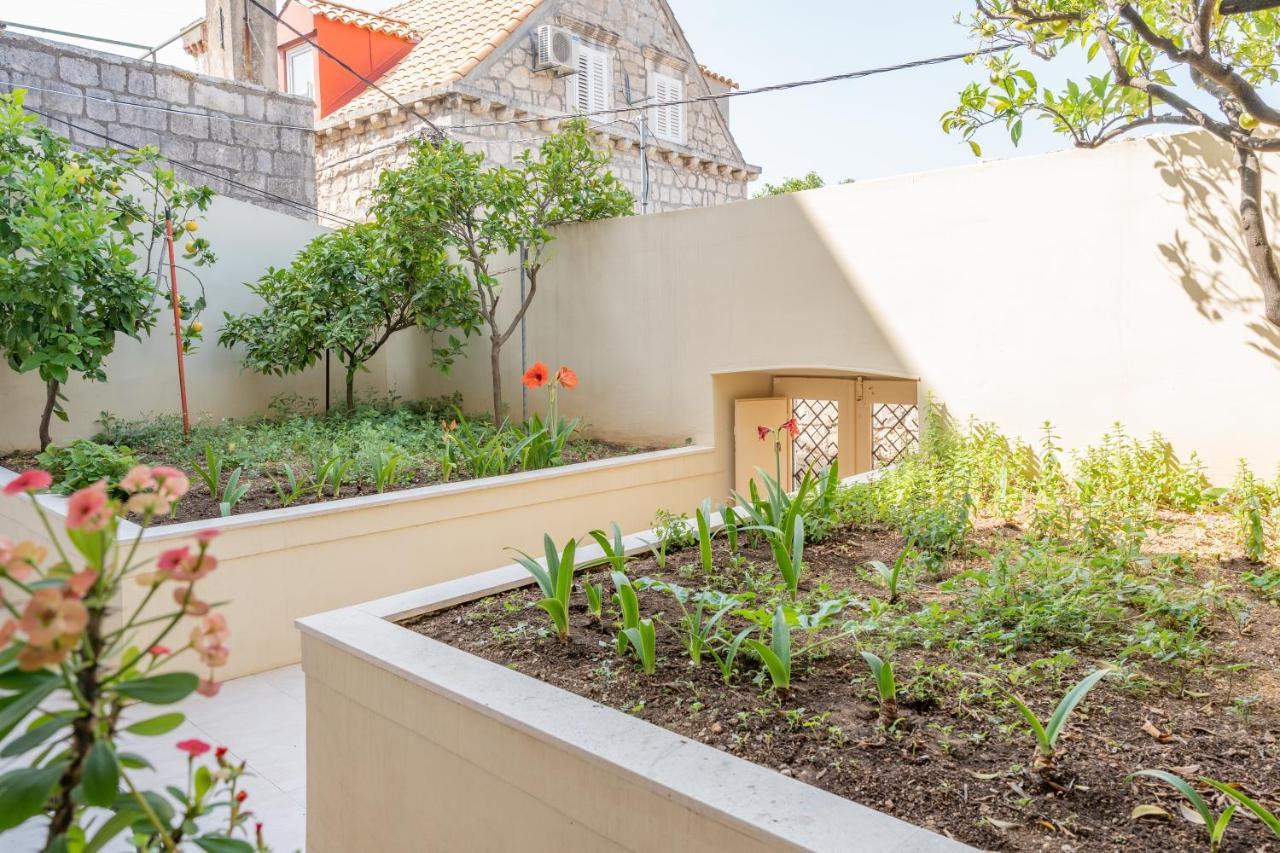 Mazza House Cavtat With Sea View-Center公寓 外观 照片